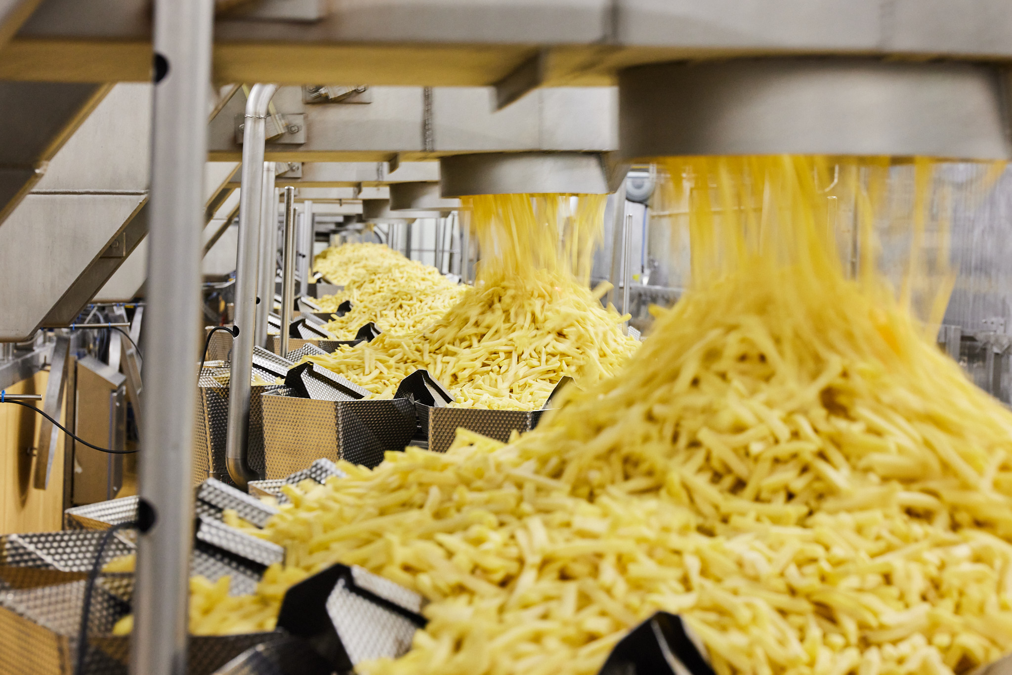 Farm Frites International B.V.